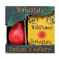 Mate Wild Energy Kit