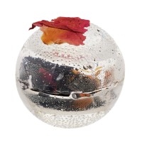 Transparent tea bomb