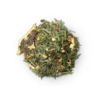 copy of Cactus Lemonade
