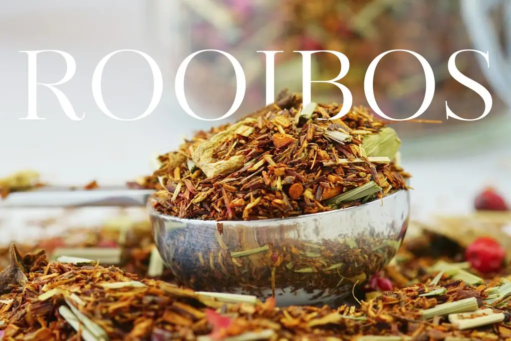 Herbata rooibos – wszystko, co musisz o niej wiedzieć