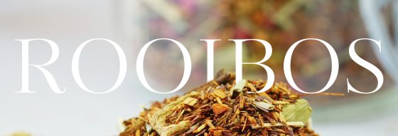 Herbata rooibos – wszystko, co musisz o niej wiedzieć