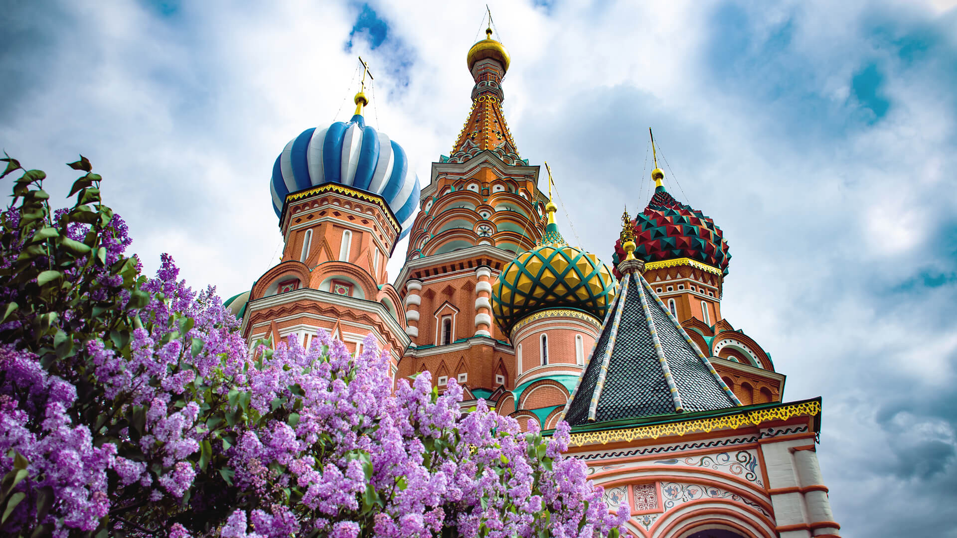 Katedra św. Bazylego z charakterystycznymi, kolorowymi kopułami, wiosenne krzewy lilaku na pierwszym planie, pochmurne niebo w tle.