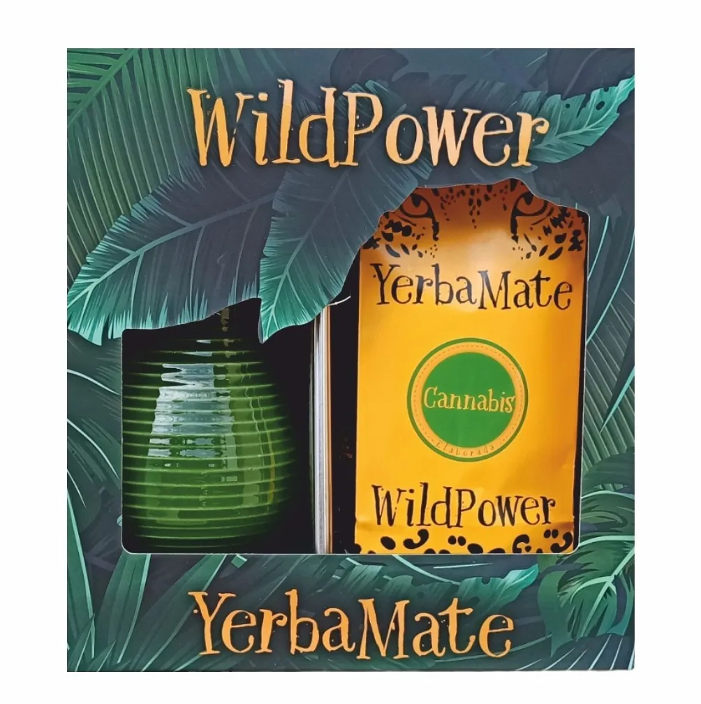 Zielony kartonik z rysunkiem liści, w środku zółta paczka yerba mate, bombilla i zielone matero