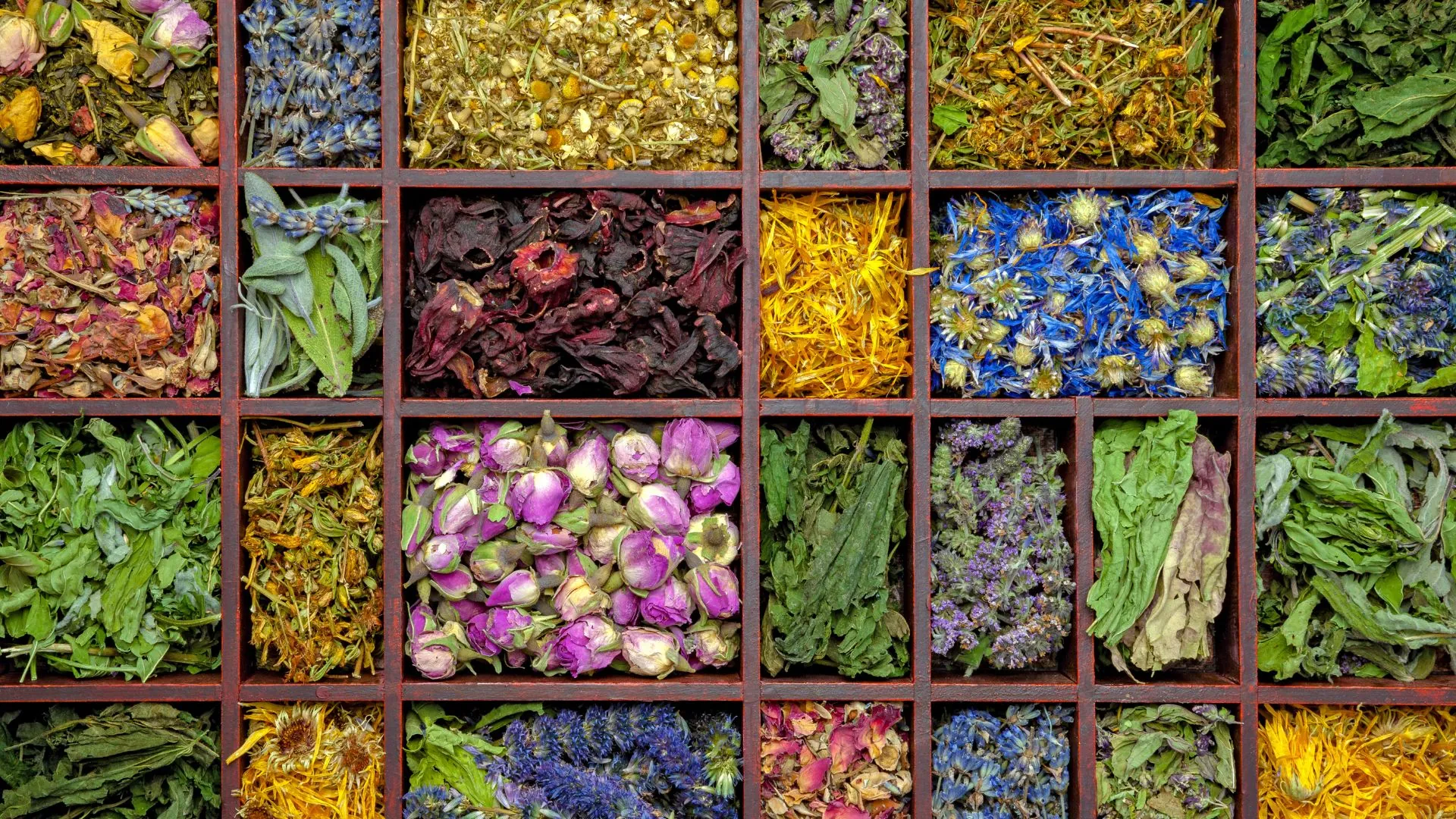Kolorowe, suszone zioła i kwiaty ułożone w przegródkach drewnianej skrzynki, widok z góry.