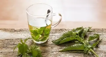 Jak często pić herbatę z pokrzywy? Wszystko, co musisz o niej wiedzieć
