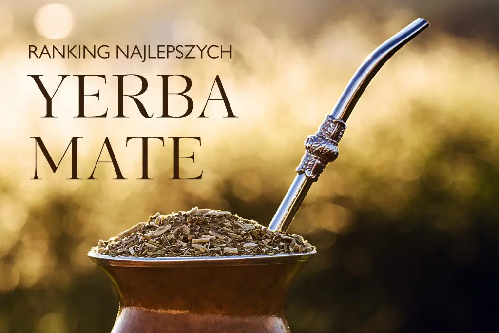 Ranking najlepszych yerba mate – którą wybrać w 2026 roku?
