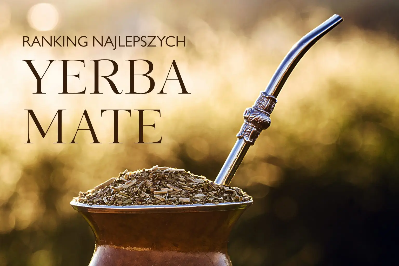 Ranking najlepszych yerba mate – którą wybrać w 2026 roku?